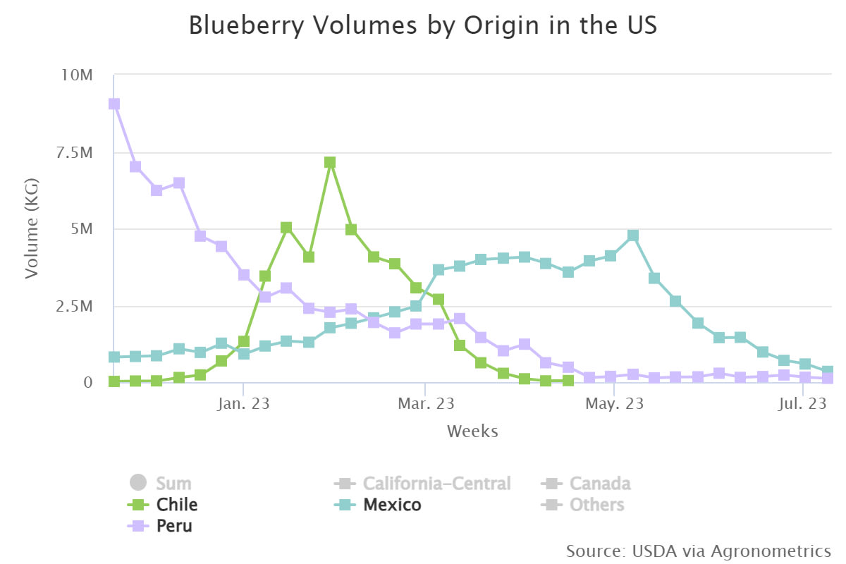 blueberry volumes by ori